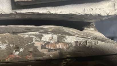 Press Repair